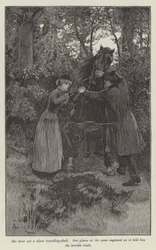 Blinde Liebe, von Wilkie Collins